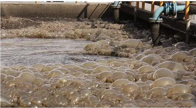 �й���4688����÷����(�ɷ�)���޹�˾-�ٷ���վ