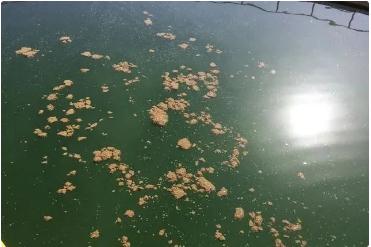 �й���4688����÷����(�ɷ�)���޹�˾-�ٷ���վ