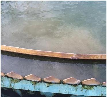 �й���4688����÷����(�ɷ�)���޹�˾-�ٷ���վ