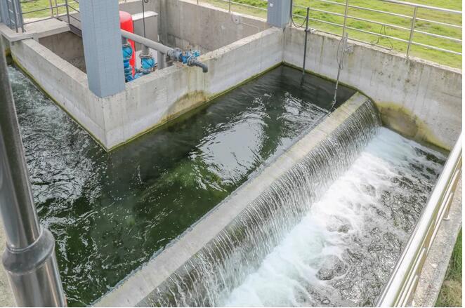 �й���4688����÷����(�ɷ�)���޹�˾-�ٷ���վ