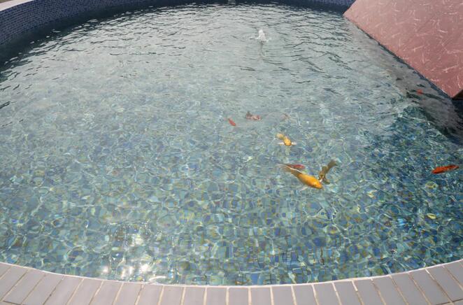 �й���4688����÷����(�ɷ�)���޹�˾-�ٷ���վ