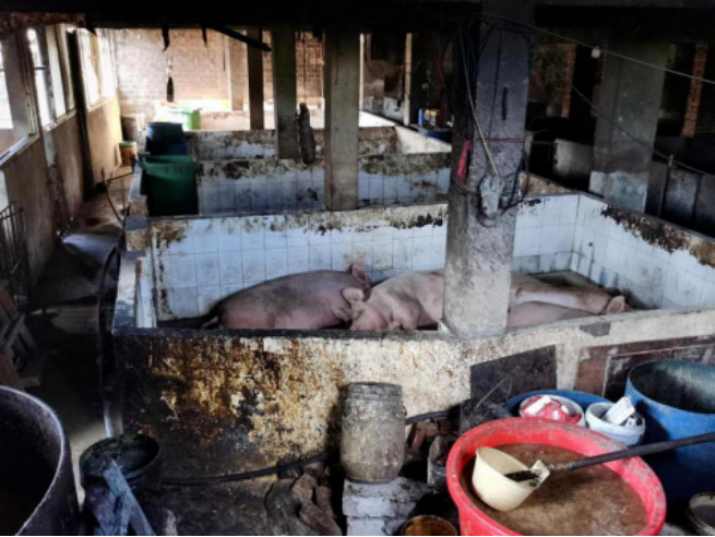 �й���4688����÷����(�ɷ�)���޹�˾-�ٷ���վ